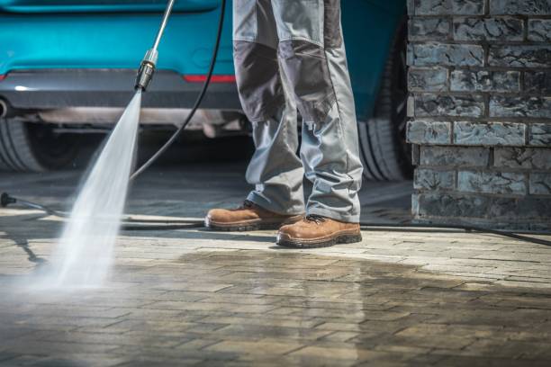Best Pre-Holiday Cleaning  in Brazil, IN